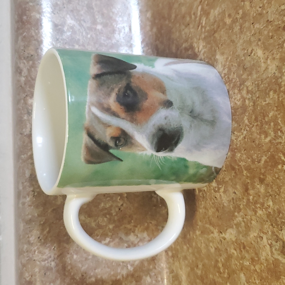 Jack Russell Terrier mug